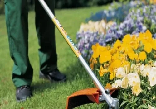 Jardinagem e Paisagismo 